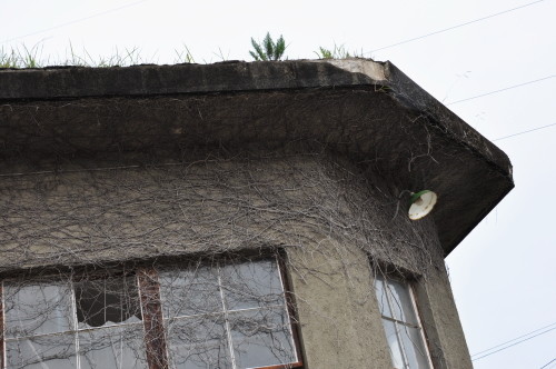 ���쳤���Ҷ��⡡�ش���