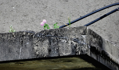 ���쳤���Ҷ��⡡�ش���