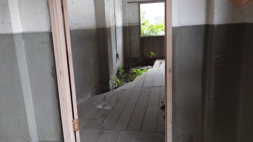 ���쳤���Ҷ��⡡�ش���