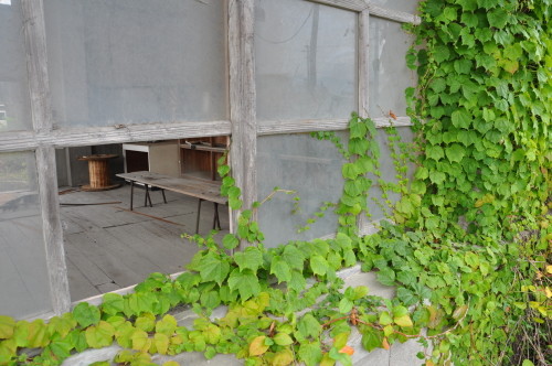 ���쳤���Ҷ��⡡�ش���