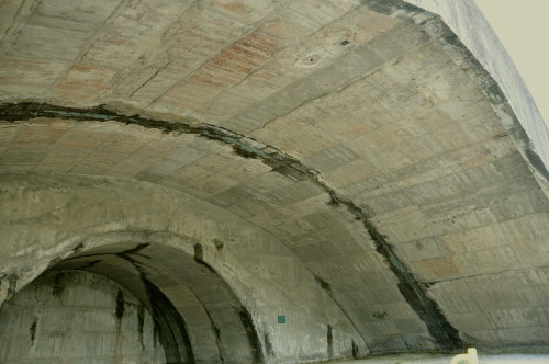 ���쳤���Ҷ��⡡���ι�