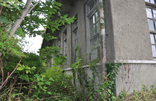 ���쳤���Ҷ��⡡�ش���