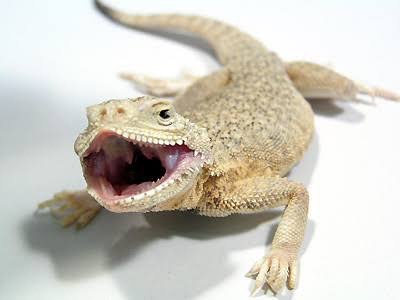 5005