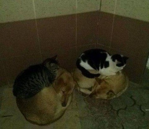 no title