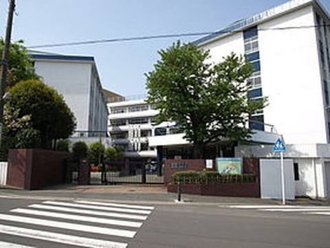IMG_7591
