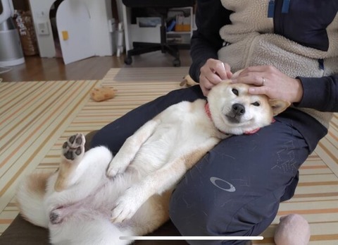 no title