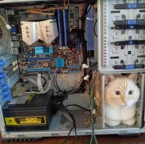 no title