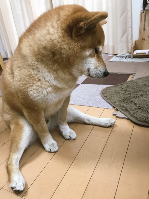 no title