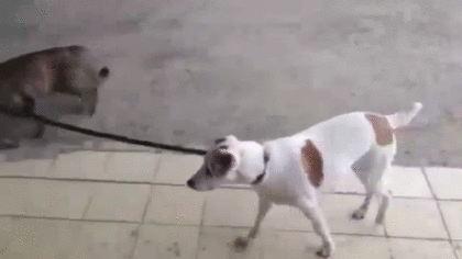 no title