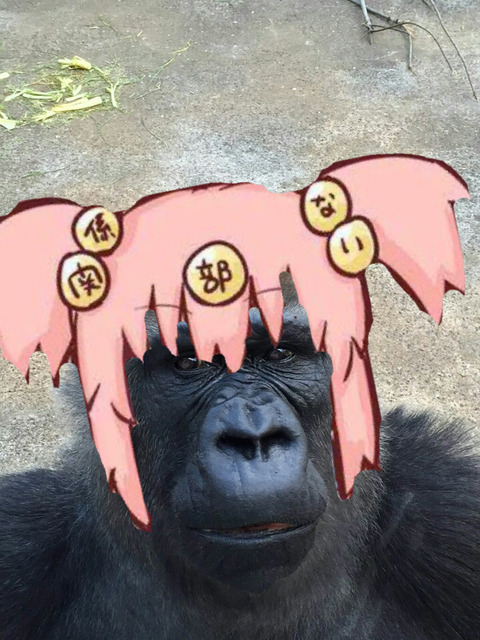 no title