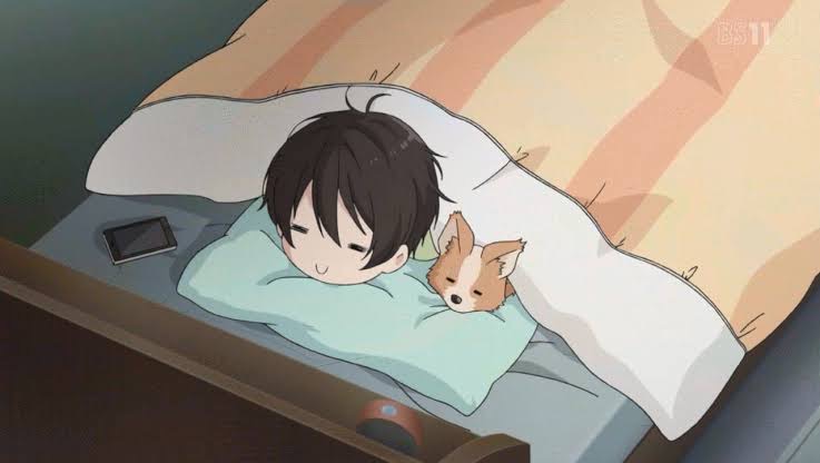 ワイ お 寝るゥーんだ なんjやきう関係ない部 おんj ワイ お 寝るゥーんだ なんjやきう関係ない部 おんj