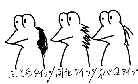 5005