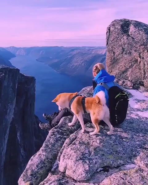no title