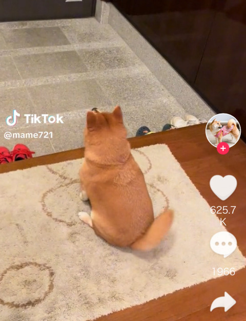FullSizeRender