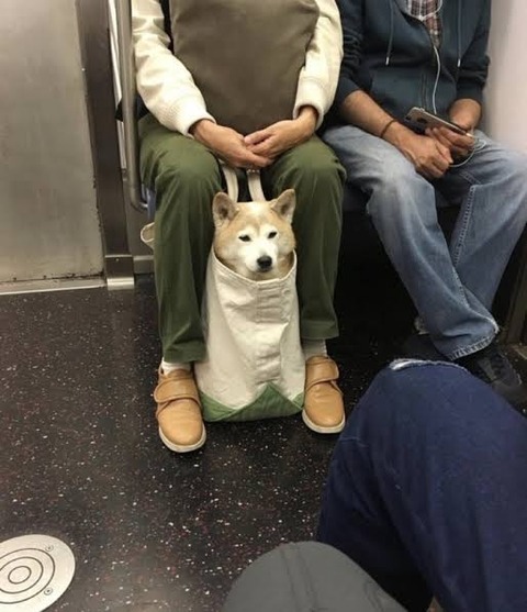 no title