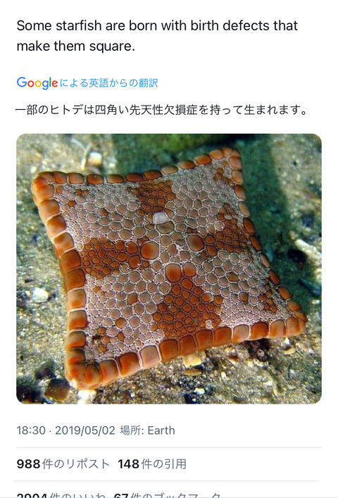 no title
