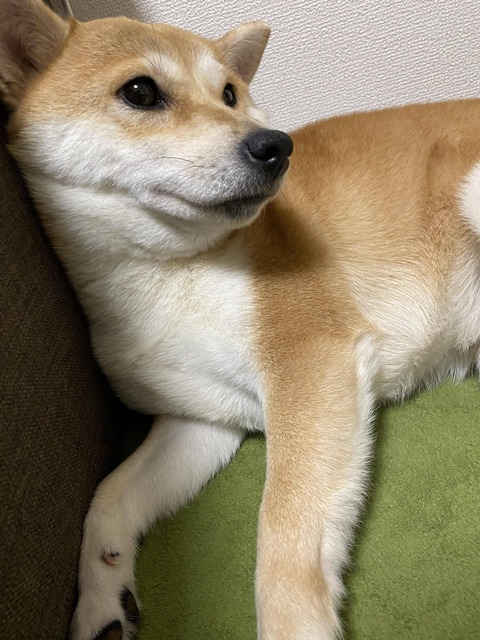 no title