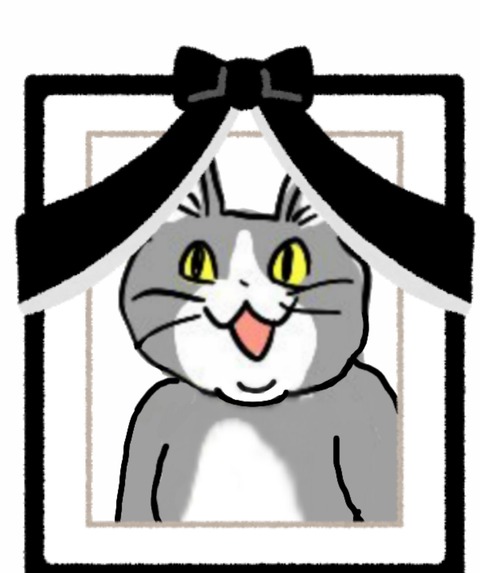 no title