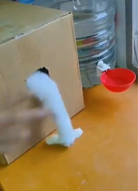 FullSizeRender
