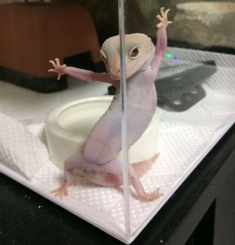no title