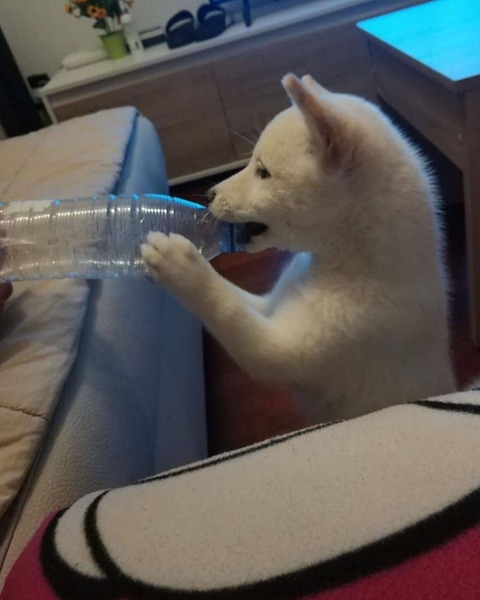 no title