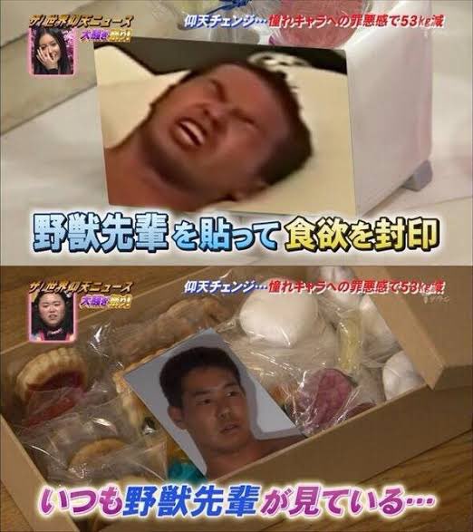 Yjsnpi なんj