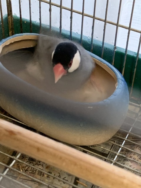 no title