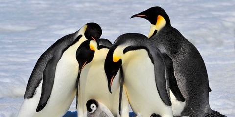 5005