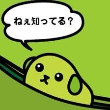 5005