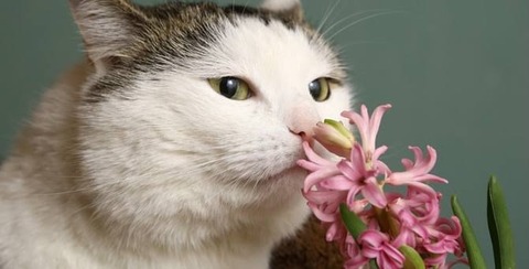 5005