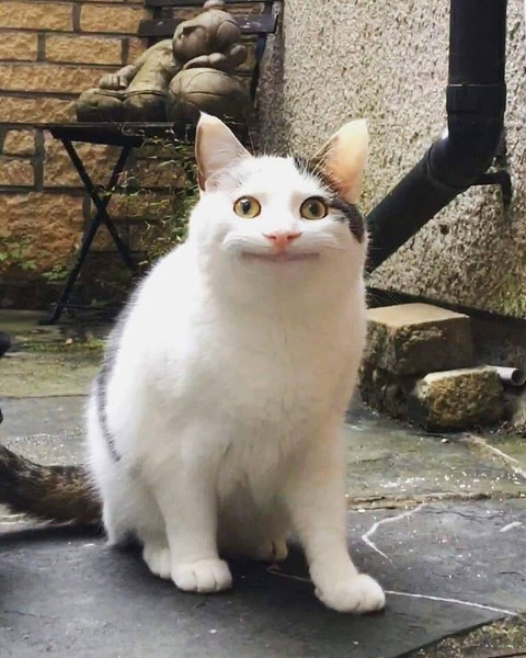 no title
