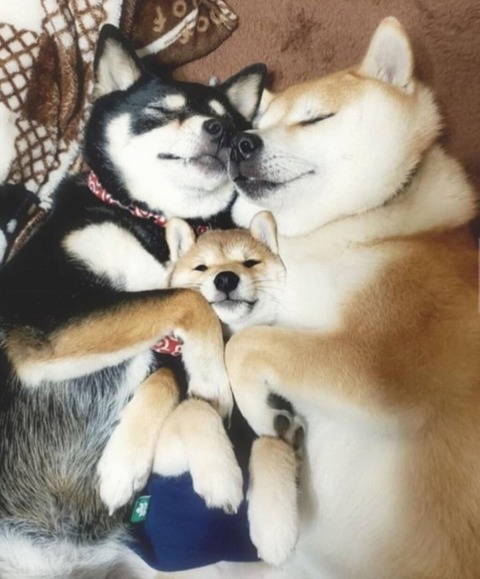 no title