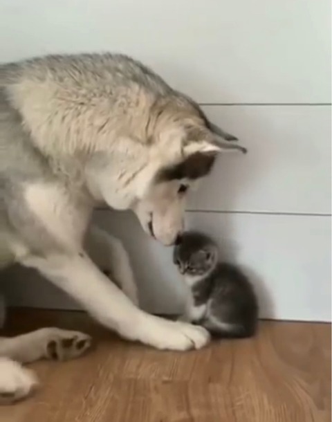 FullSizeRender