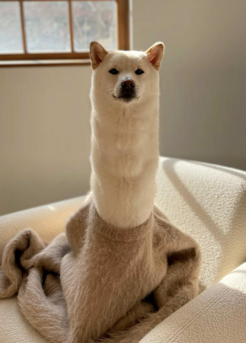 no title