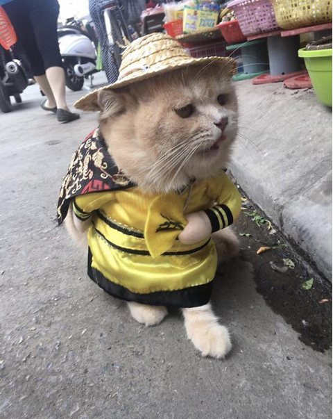 no title
