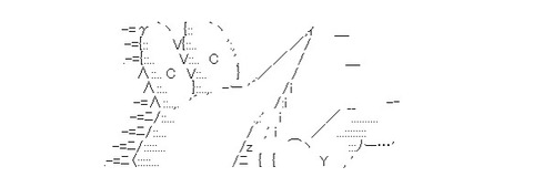 5005