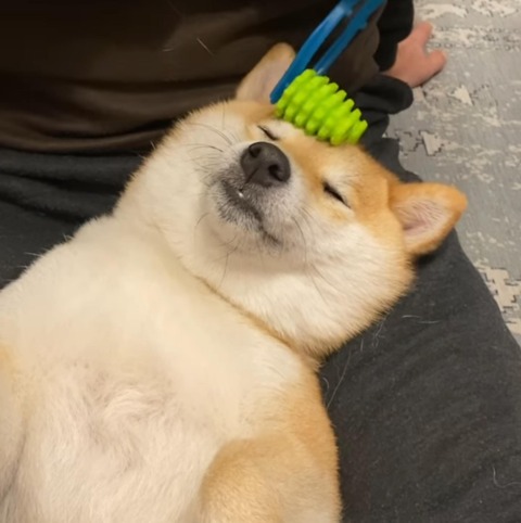 no title