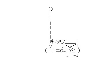 5005