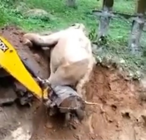 FullSizeRender