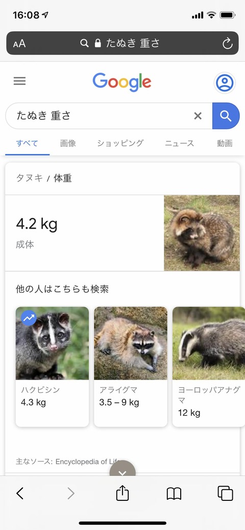 no title
