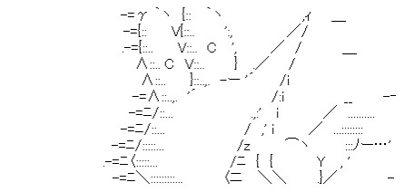 5005