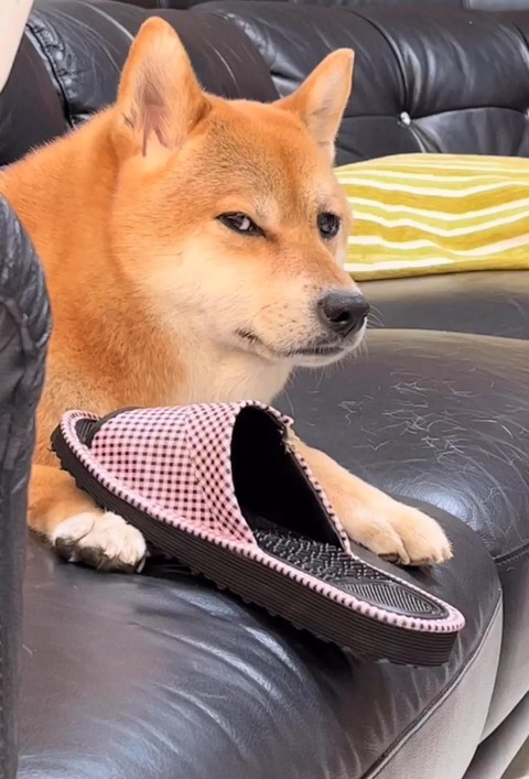 no title