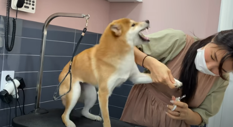 no title