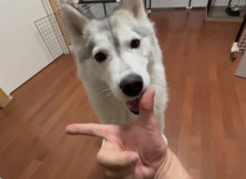 FullSizeRender
