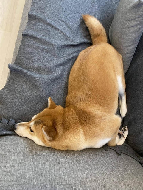 no title