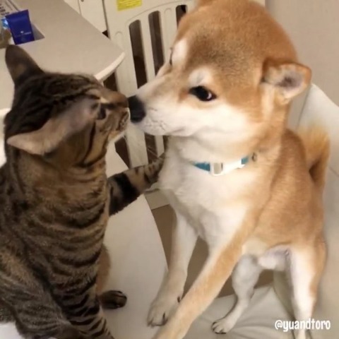 no title