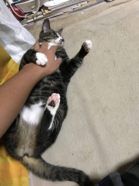 no title