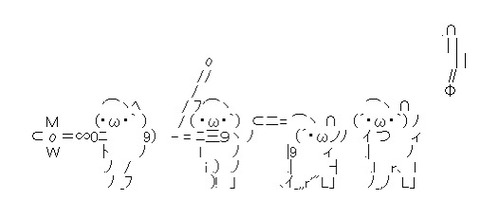 5005