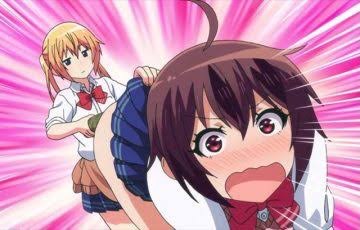 5005