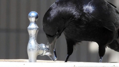IMG_7694